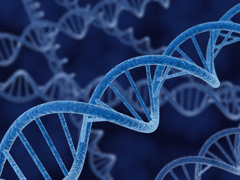 DNA Services
